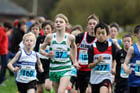 Blue start, North East Harrier League.